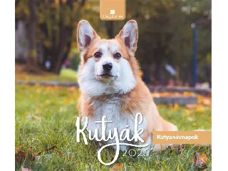 Naptár, asztali, álló, DAYLINER 