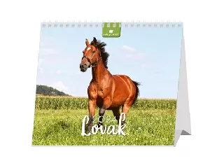 Naptár, asztali, álló, DAYLINER 