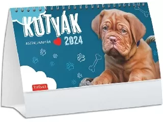 Naptár, asztali, álló, TOPTIMER, 