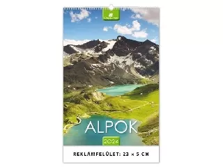 Naptár, fali, DAYLINER, 