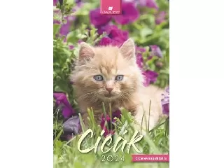 Naptár, fali, DAYLINER, 