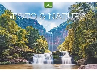 Naptár, fali, DAYLINER, 