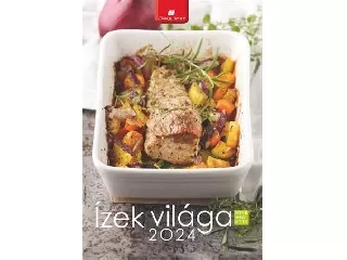 Naptár, fali, DAYLINER 