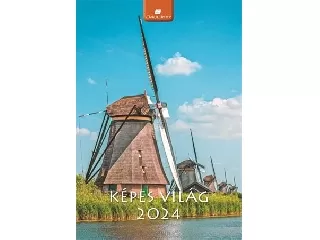 Naptár, fali, DAYLINER, 