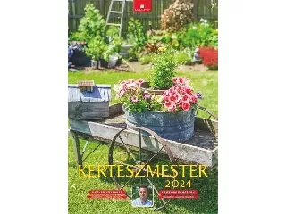 Naptár, fali, DAYLINER, 