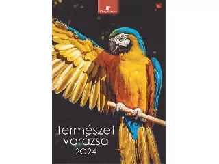 Naptár, fali, DAYLINER, 