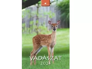 Naptár, fali, DAYLINER, 