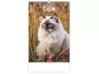 Naptár, fali, TOPTIMER, 