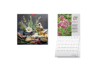 Naptár, fali, TOPTIMER, 