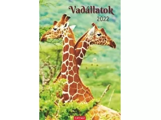 Naptár, fali, TOPTIMER \