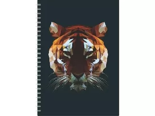 Naptár, tervező, A5, heti, DAYLINER, 