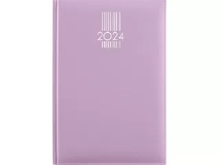 Naptár, tervező, A5, napi, DAYLINER, 