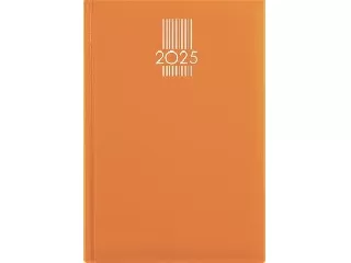 Naptár, tervező, A5, napi, DAYLINER, 
