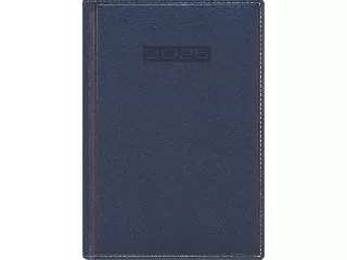 Naptár, tervező, A5, napi, DAYLINER, 