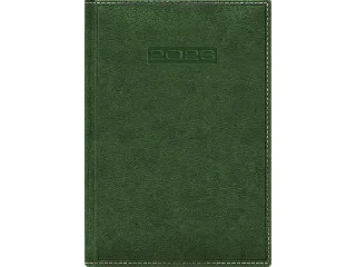 Naptár, tervező, A5, napi, DAYLINER, 