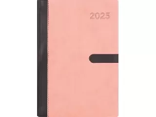 Naptár, tervező, A5, napi, DAYLINER, 