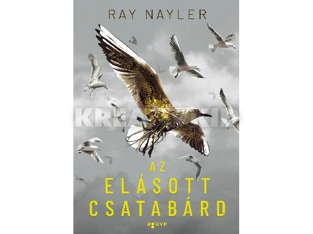 NAYLER, RAY: AZ ELÁSOTT CSATABÁRD