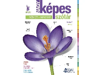 NÉMET-MAGYAR NAGY KÉPES SZÓTÁR