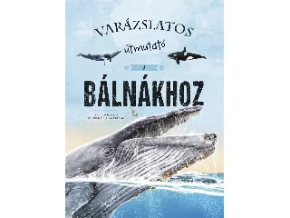 NIETO, GARCIA: VARÁZSLATOS ÚTMUTATÓ A BÁLNÁKHOZ