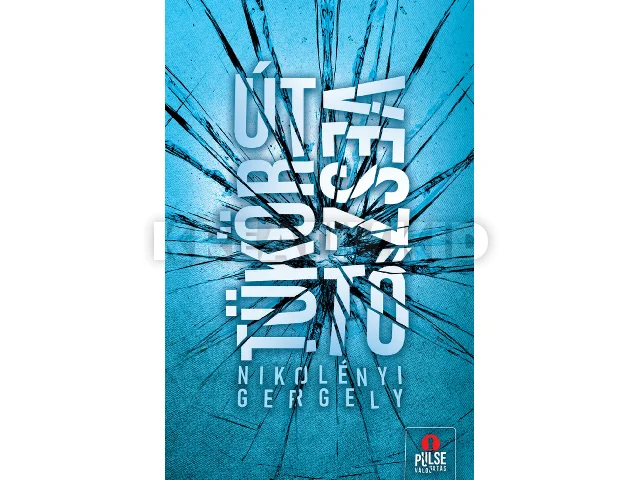 NIKOLÉNYI GERGELY: TÜKÖRÚTVESZTŐ