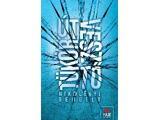 NIKOLÉNYI GERGELY: TÜKÖRÚTVESZTŐ