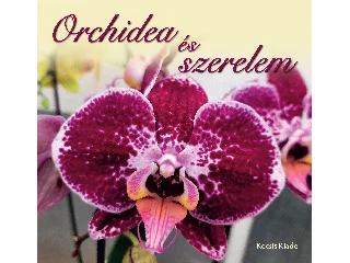 ORCHIDEA ÉS SZERELEM