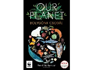 OUR PLANET - BOLYGÓNK CSODÁI