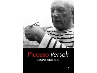 PABLO PICASSO: VERSEK