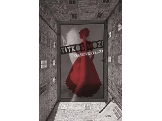 PACSKOVSZKY ZSOLT: TITKOS MOZI