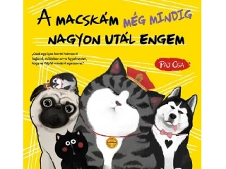 PAJ CSA: A MACSKÁM MÉG MINDIG NAGYON UTÁL ENGEM