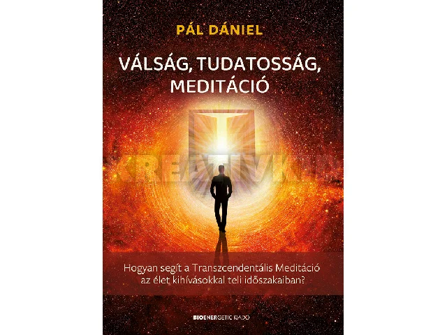 PÁL DÁNIEL: VÁLSÁG, TUDATOSSÁG, MEDITÁCIÓ