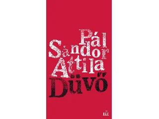 PÁL SÁNDOR ATTILA: DÜVŐ