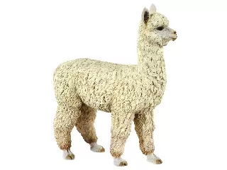 Papo: Alpaka