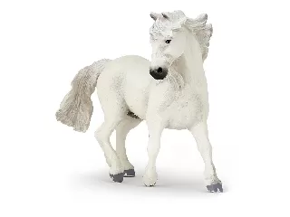 Papo: Camargue-i ló