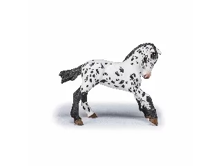 Papo: Fekete appaloosa csikó