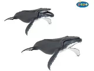 Papo hosszúszárnyú bálna 56001