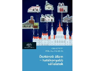 PARRAGH BIANKA: ÖSZTÖNZŐ ÁLLAM - HATÉKONYABB VÁLLALATOK