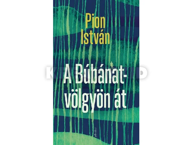 PION ISTVÁN: A BÚBÁNAT-VÖLGYÖN ÁT