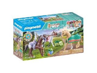 Playmobil: Morgan, Quarter és Shagya lovak 71356