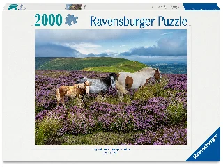 Puzzle 2000 db - Vadlovak a mezőn