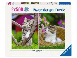 Puzzle 2x500 db - Kiscicák vidéken