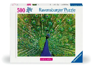 Puzzle 500 db - Páva