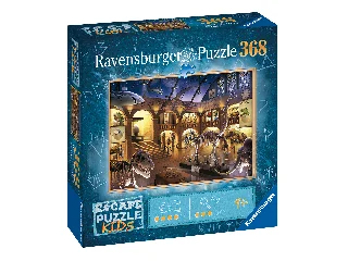 Puzzle Escape 368 db - Relytéjek múzeuma