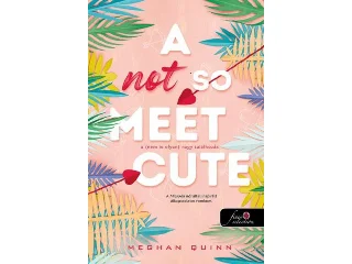 QUINN, MEGHAN: A NOT SO MEET CUTE  A (NEM IS OLYAN) NAGY TALÁLKOZÁS