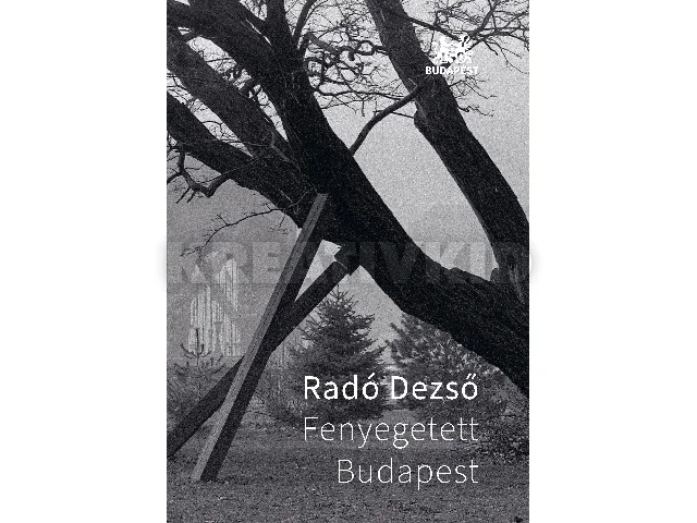 RADÓ DEZSŐ: FENYEGETETT BUDAPEST