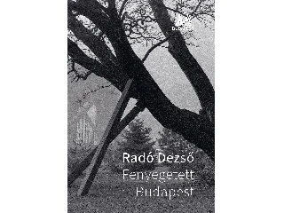 RADÓ DEZSŐ: FENYEGETETT BUDAPEST