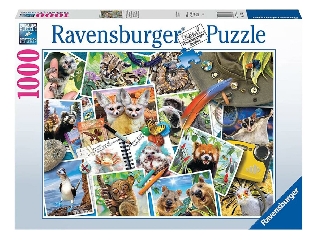Ravensburger Puzzle 1000 db - Az utazó