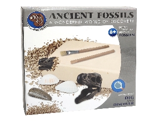 Régész szett - Fosszíliák