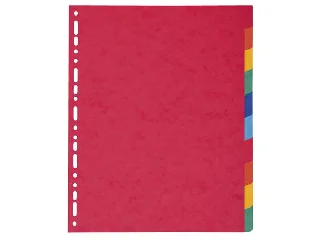 Regiszter, karton, A4+, 10 részes, EXACOMPTA, színes