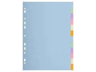 Regiszter, karton, A4, 12 részes, EXACOMPTA, pasztell színek